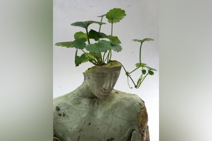 Стало известно, когда в Узбекистане внедрят экологический рейтинг регионов