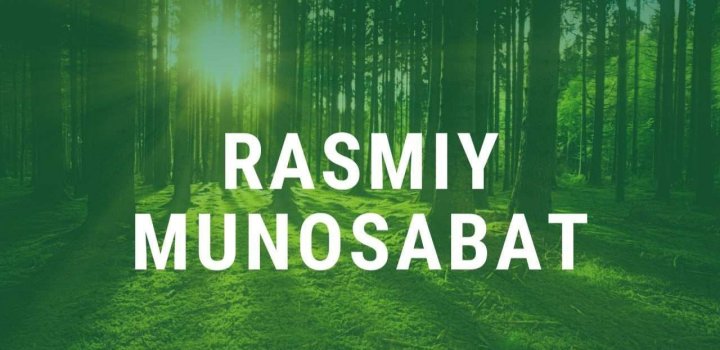 Неизвестные лица спилили 14 деревьев в Кашкадарье, ущерб составил более 700 млн сумов