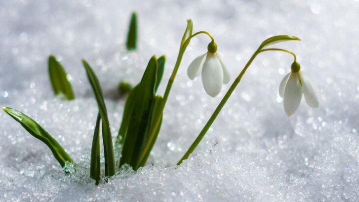 Стало известно, когда в Узбекистане вновь потеплеет
