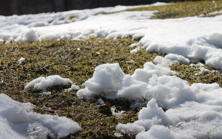 Опубликован прогноз погоды в Узбекистане на конец зимы
