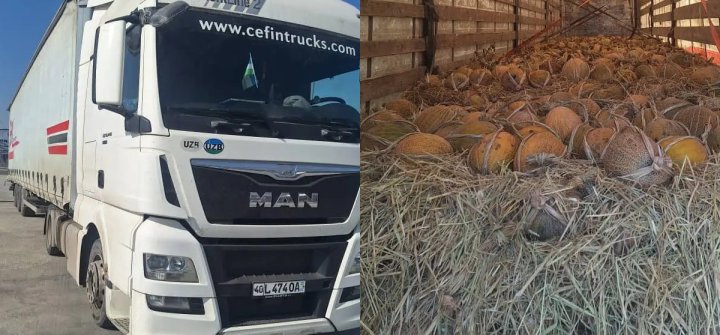 В Кыргызстане отказались принимать узбекские дыни