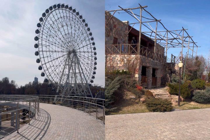 В Ташкенте пройдёт масштабная акция по посадке деревьев в парке Навруз