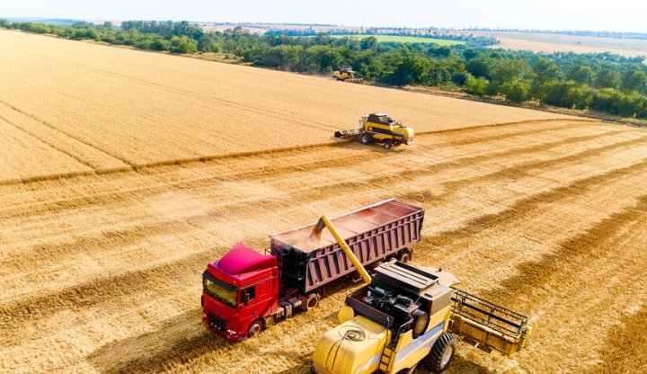 Узбекистан превзошёл по объёму сельскохозяйственного производства Казахстан, Кыргызстан и Таджикистан, вместе взятые