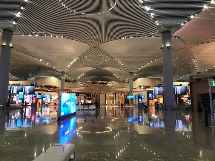 Медвежья услуга: Узбекистанцев попросили не «помогать» друг другу в аэропорту Турции