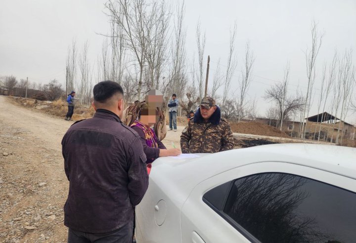 В Кашкадарье женщина заплатит более 70 млн сумов за незаконно вырубленные деревья