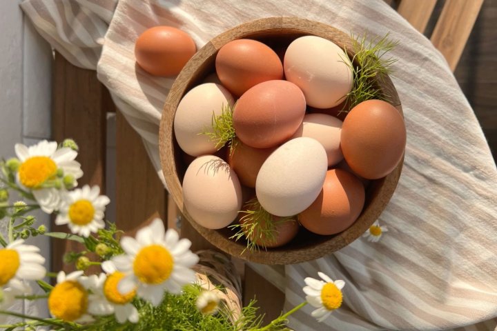 В Россию привезли 220 тыс. яиц из Узбекистана