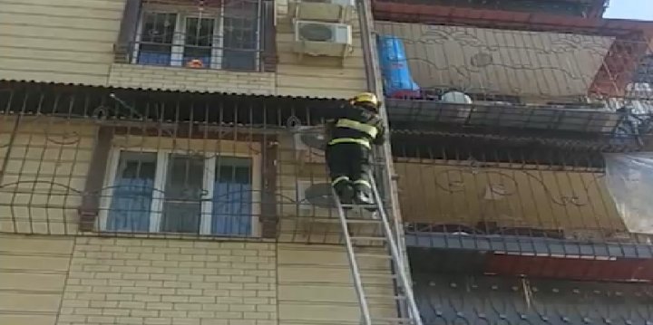 В Сергелийском районе сотрудники МЧС спасли кошку, застрявшую на кондиционере многоэтажного дома