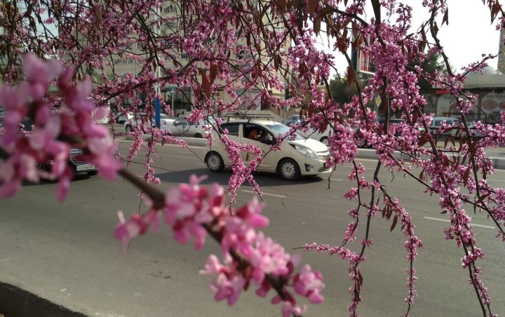 Опубликован прогноз погоды в Узбекистане на неделю