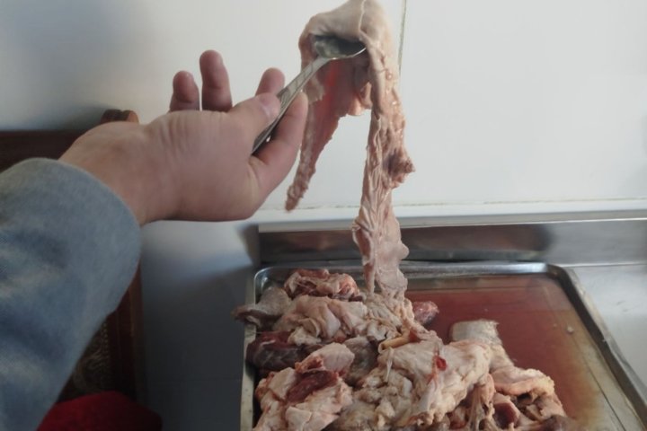 В одном из детских садов Навои детей кормили испорченным мясом