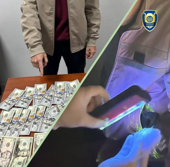 В Ташкенте мошенник попросил $44 000 за помощь с трудоустройством в Канаде