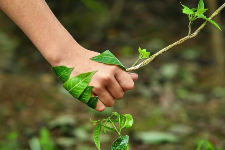 В Самарканде пройдёт международный климатический форум