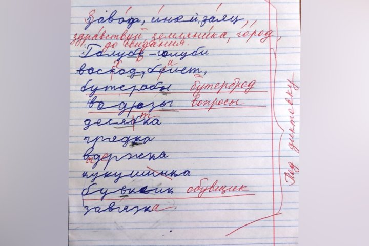 Стало известно, насколько хорошо дети мигрантов должны знать русский язык, чтобы поступить в российскую школу