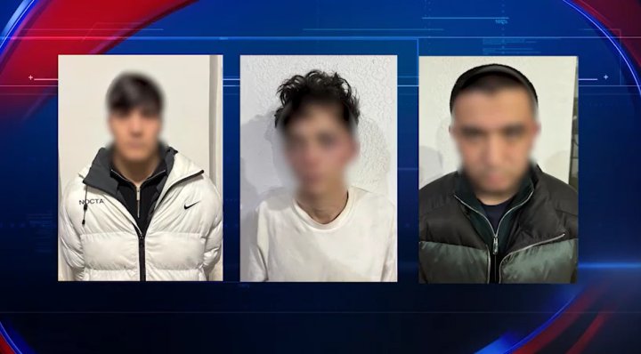 В Ташкенте задержали создателей интернет-магазина по продаже наркотиков