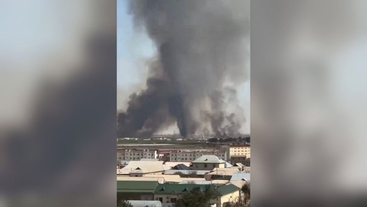 На нейтральной территории между Узбекистаном и Афганистаном выжигают камышовые заросли