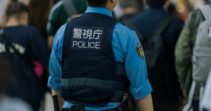 В Японии гражданин Узбекистана пытался изнасиловать девушку