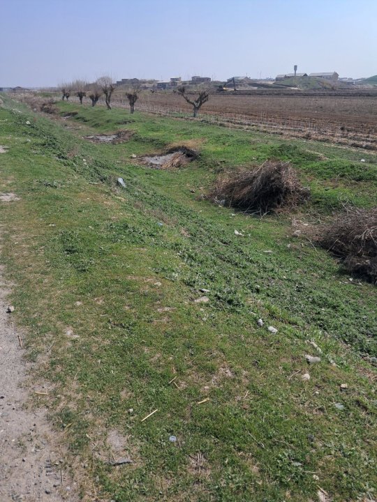 В Джизаке мужчина заплатит штраф за сжигание сухих остатков растений