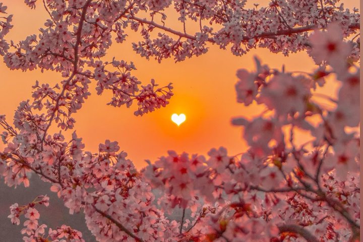 В Узбекистане ожидается резкое потепление до +22 градусов