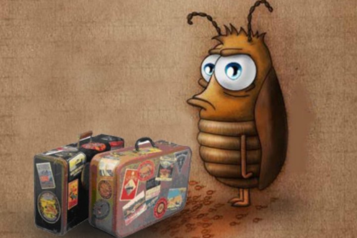 Тараканы «Шарка» ошиблись поездом