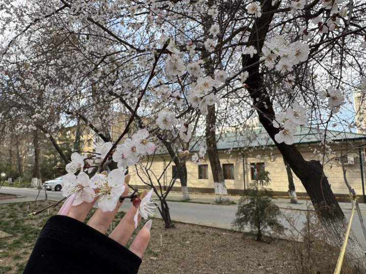 Апрельские сюрпризы: прогноз погоды в Узбекистане