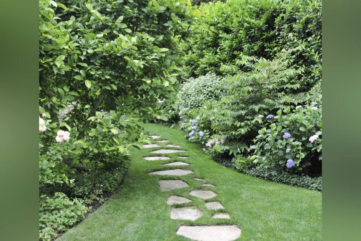 Новый дендрарий украсит Ташобласть