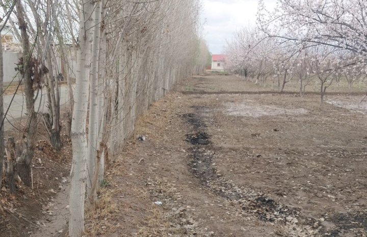 В Ургенче мужчина заплатит более 1 млн сумов штрафа за сжигание растительных остатков