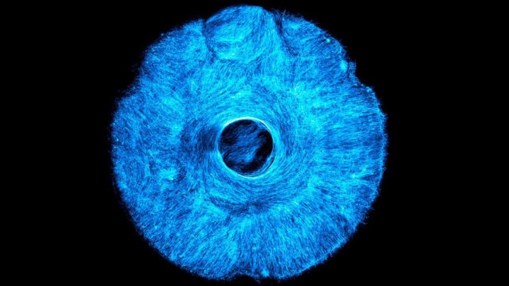 Искусственная радужка глаза разработана инженерами MIT