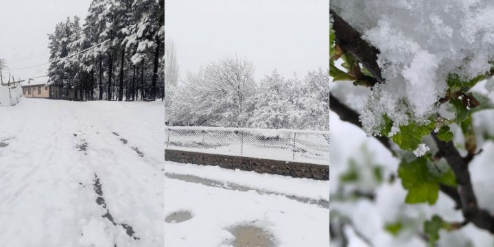 В Узбекистане выпал снег