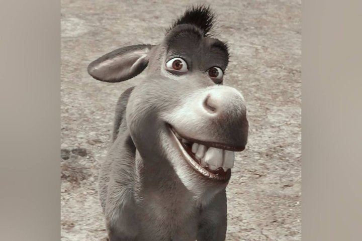 В Самарканде разоблачили нелегальную торговлю ослиным мясом — видео