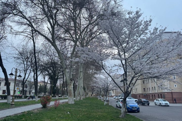 На Узбекистан надвигаются продолжительные дожди и даже ночные морозы