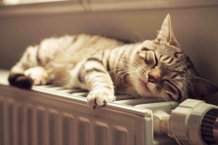 Узбекистан инвестирует 19 трлн сумов в модернизацию отопления