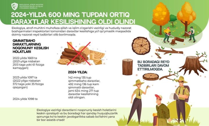 За 2024 год экологи Узбекистана спасли от вырубки более 634 тыс. деревьев