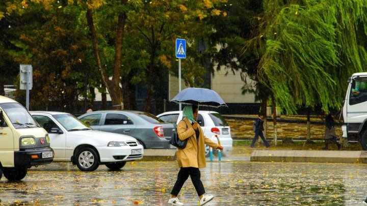 Опубликован прогноз погоды в Узбекистане на 26 марта