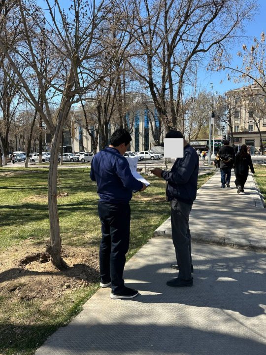 В Яккасарайском районе мужчина заплатит более 10 млн сумов за незаконную пересадку деревьев