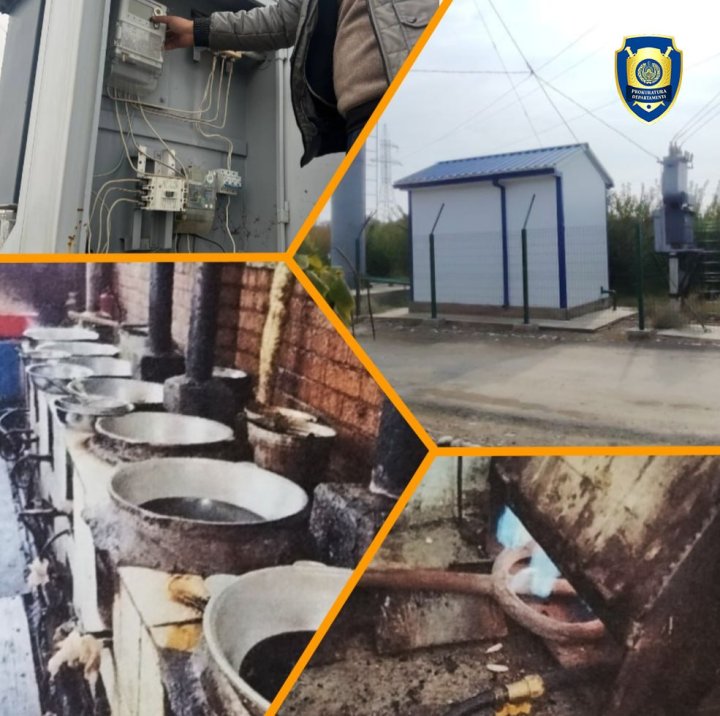 В четырёх областях Узбекистана выявили случаи кражи природных ресурсов на сотни миллионов сумов