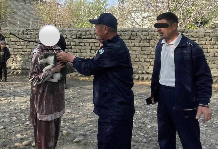 В Фергане сотрудники МЧС спасли кота, застрявшего на дереве