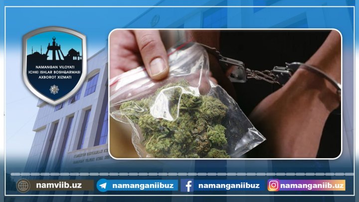 В Наманганской области мужчине грозит до 5 лет лишения свободы за хранение марихуаны