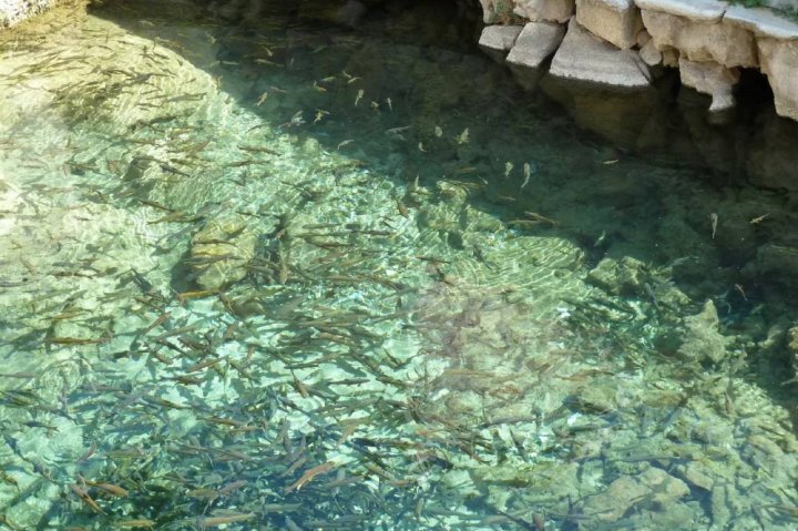 «Чашма» раздора позади: Узбекистан и Кыргызстан нашли компромисс по водному источнику