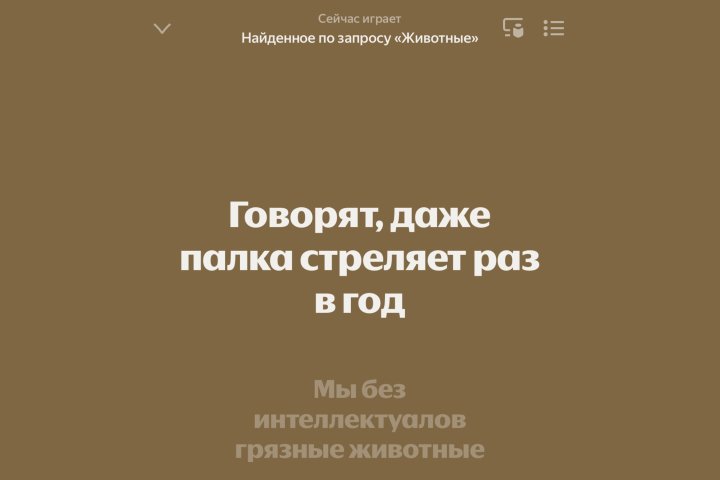 Доказано, что палка не стреляет раз в год — видео