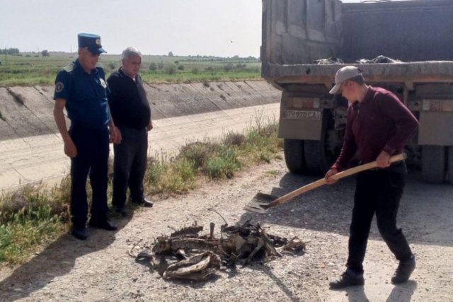 В Самарканде сделали дамбу из останков ослов — видео