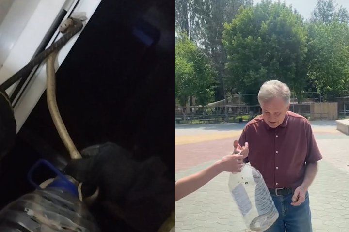 Спасатели МЧС в Ташкенте обезвредили метровую змею в жилом доме — видео