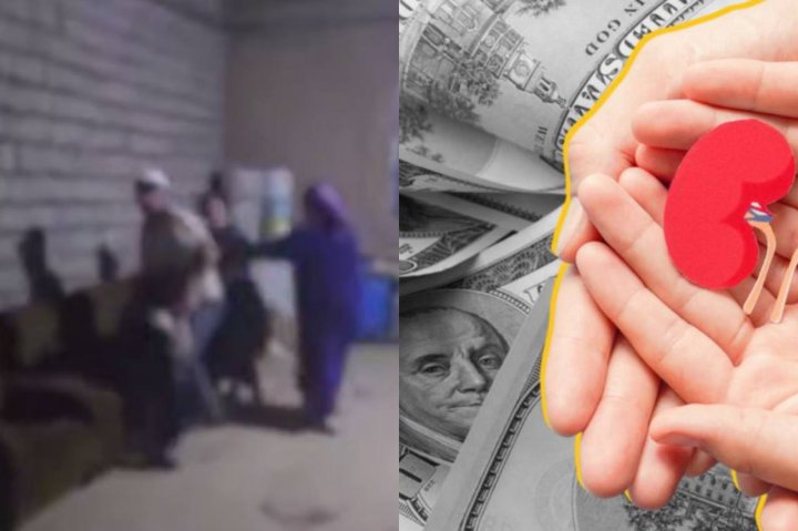 В Ташобласти семья устроила скандал невестке из-за долга, та заявила о принуждении к продаже почки — видео