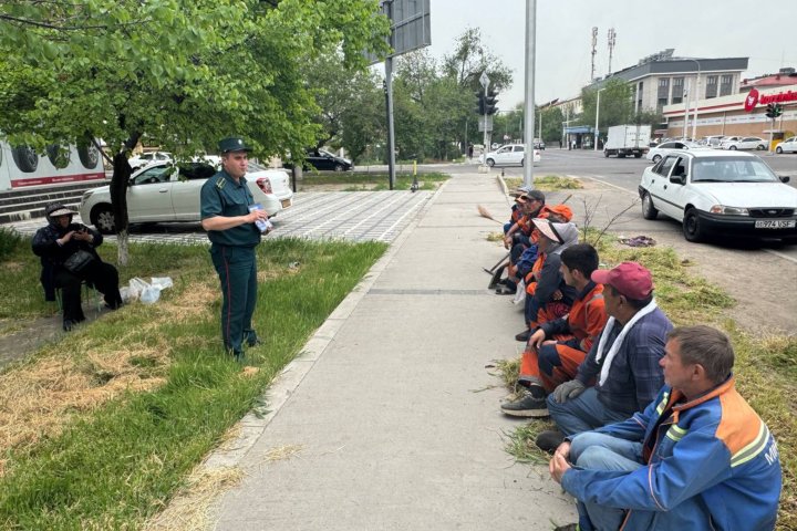 «Киберметла» против фишинга: узбекских дворников обучают цифровой безопасности