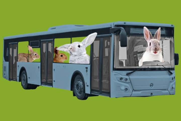 Борьба с «зайцами»: В Ташкенте ужесточили контроль за оплатой проезда в автобусах