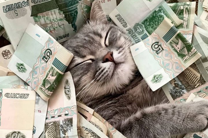 Курс доллара в Узбекистане вырос на 36 сум