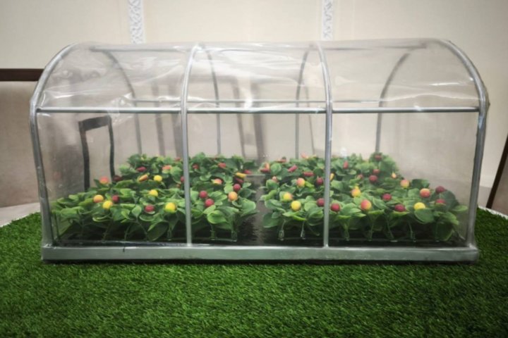 Узбекские учёные первыми в мире изобрели «умные» терморегулирующие плёнки