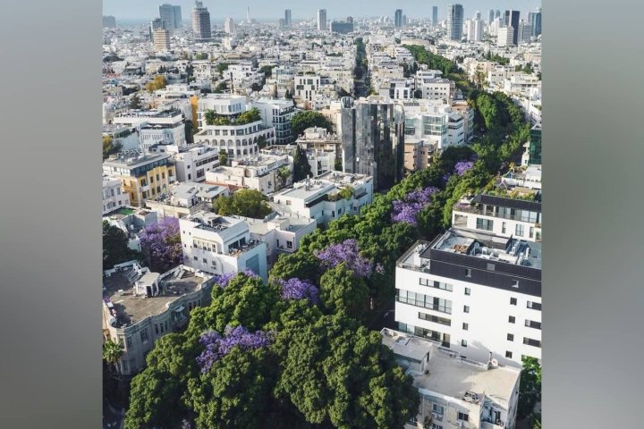 Прямые рейсы свяжут столицу Узбекистана с сердцем Израиля