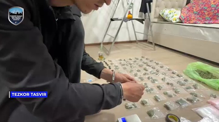 В Ташкенте задержан распространитель марихуаны - видео