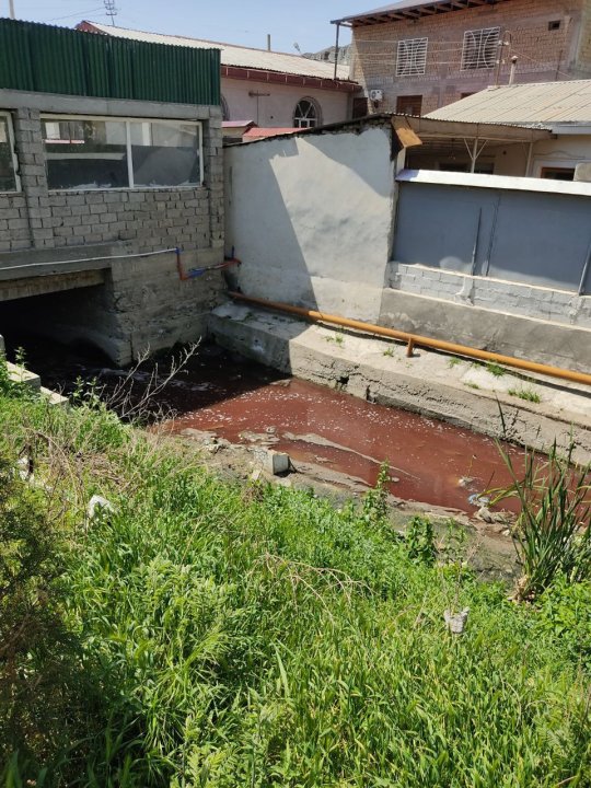 В Самарканде вода в канале окрасилась в красный цвет