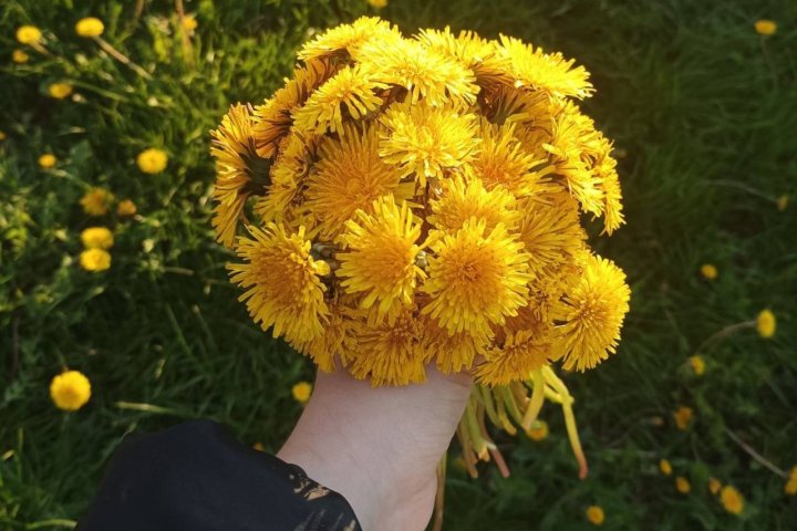 Стало известно, какая погода ожидает жителей Узбекистана в мае