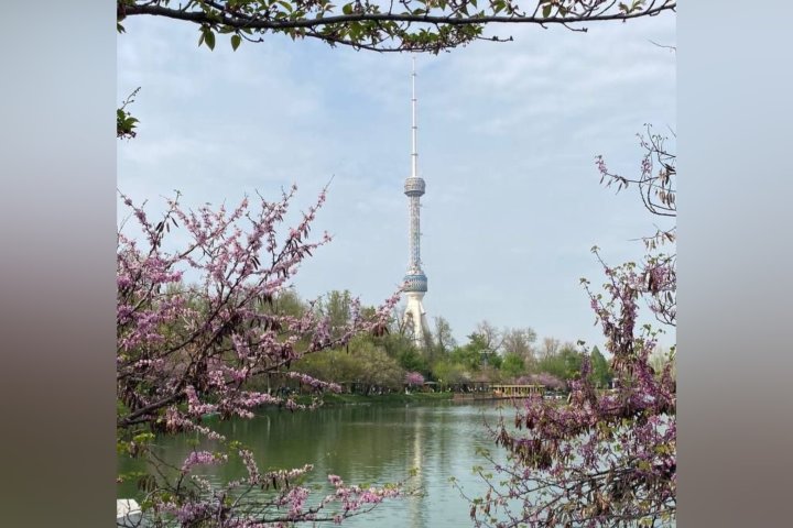 Прогноз погоды в Узбекистане на 21-25 апреля